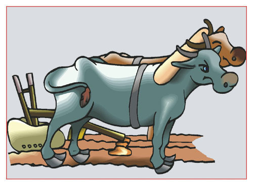 Farming Animals Formed