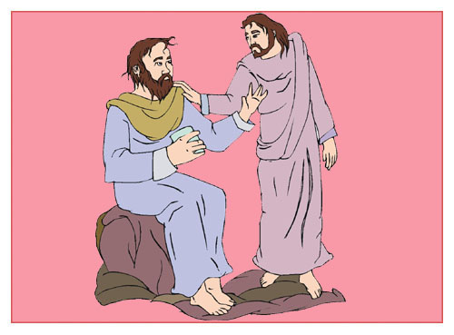 The Law Includes Sin Laws